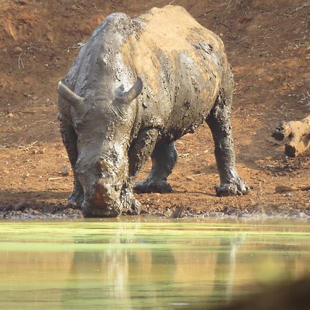 Sable Creek Safari Lodge 트자넨 외부 사진