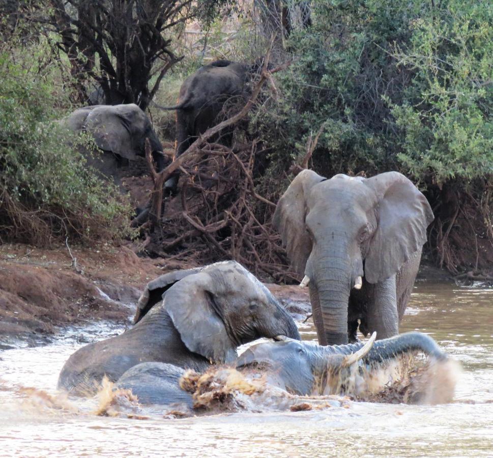 Sable Creek Safari Lodge 트자넨 외부 사진