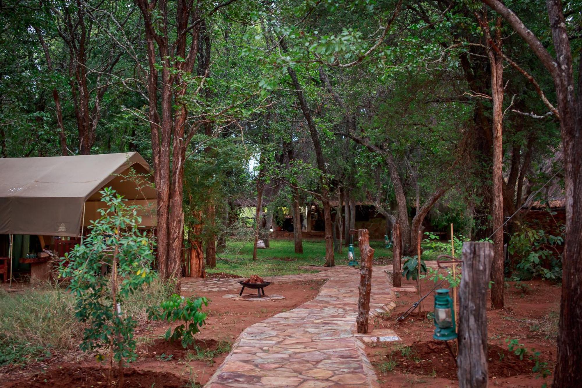 Sable Creek Safari Lodge 트자넨 외부 사진