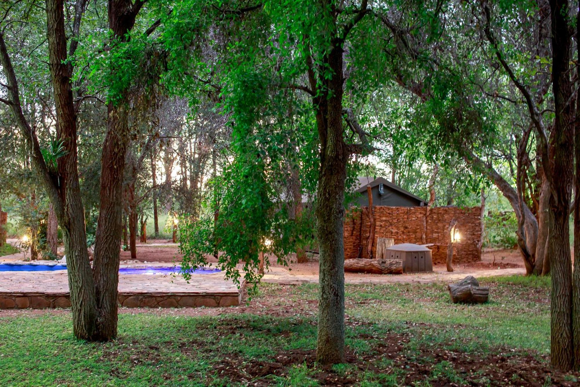 Sable Creek Safari Lodge 트자넨 외부 사진